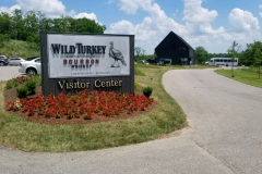 Wild-Turkey-2